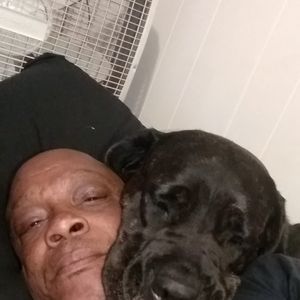 Meet your Posher, Alphonso